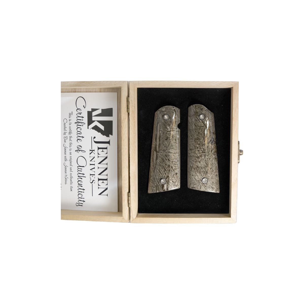 Ben Jennen Aletai Meteorite